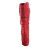 Erkek Kayak / Snowboard Pantolonu - Premium Ski Collection